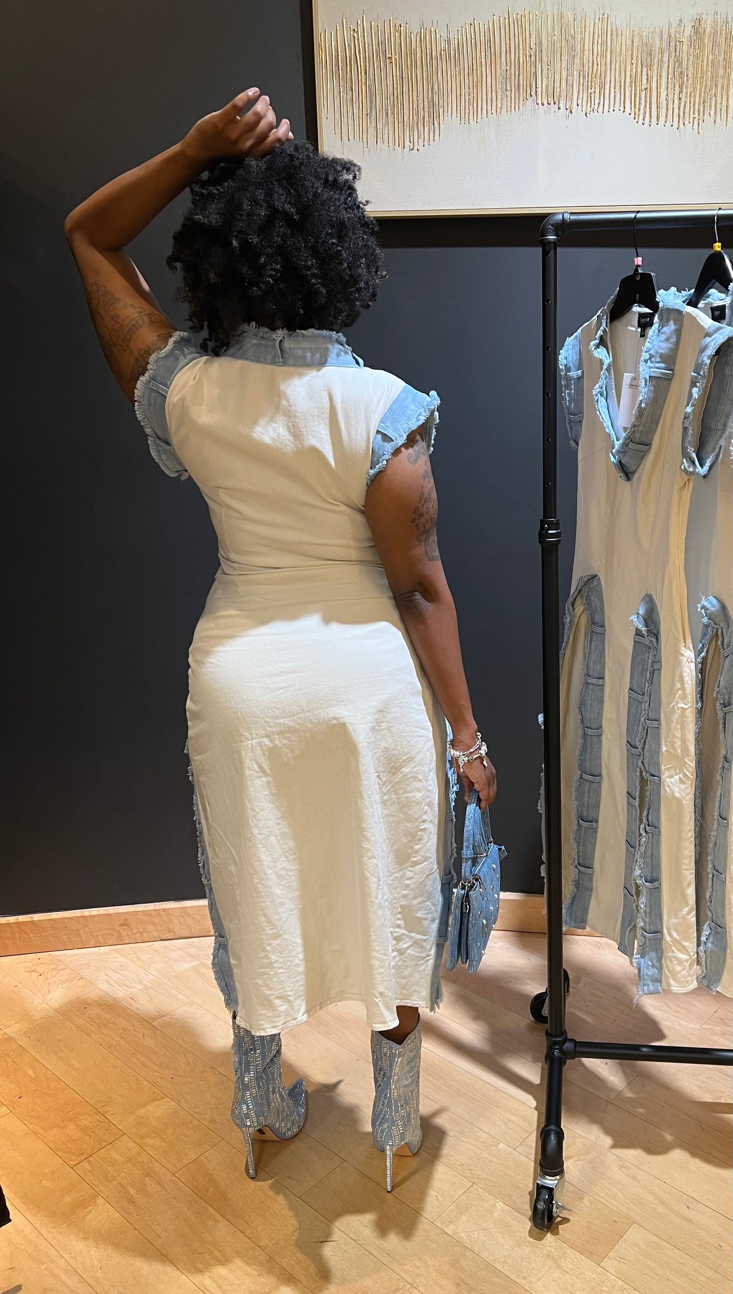 Tiffany Denim Trim Dress