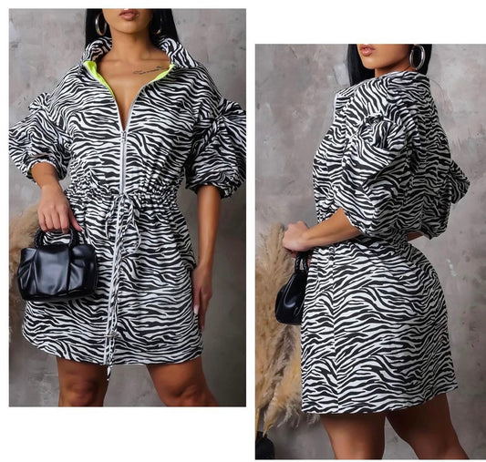 Zebra Print Coat Dress
